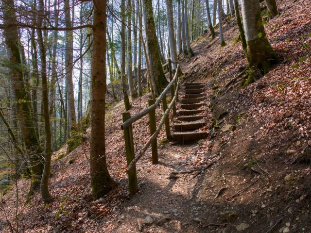 Entretien à domicile du matériel de fitness