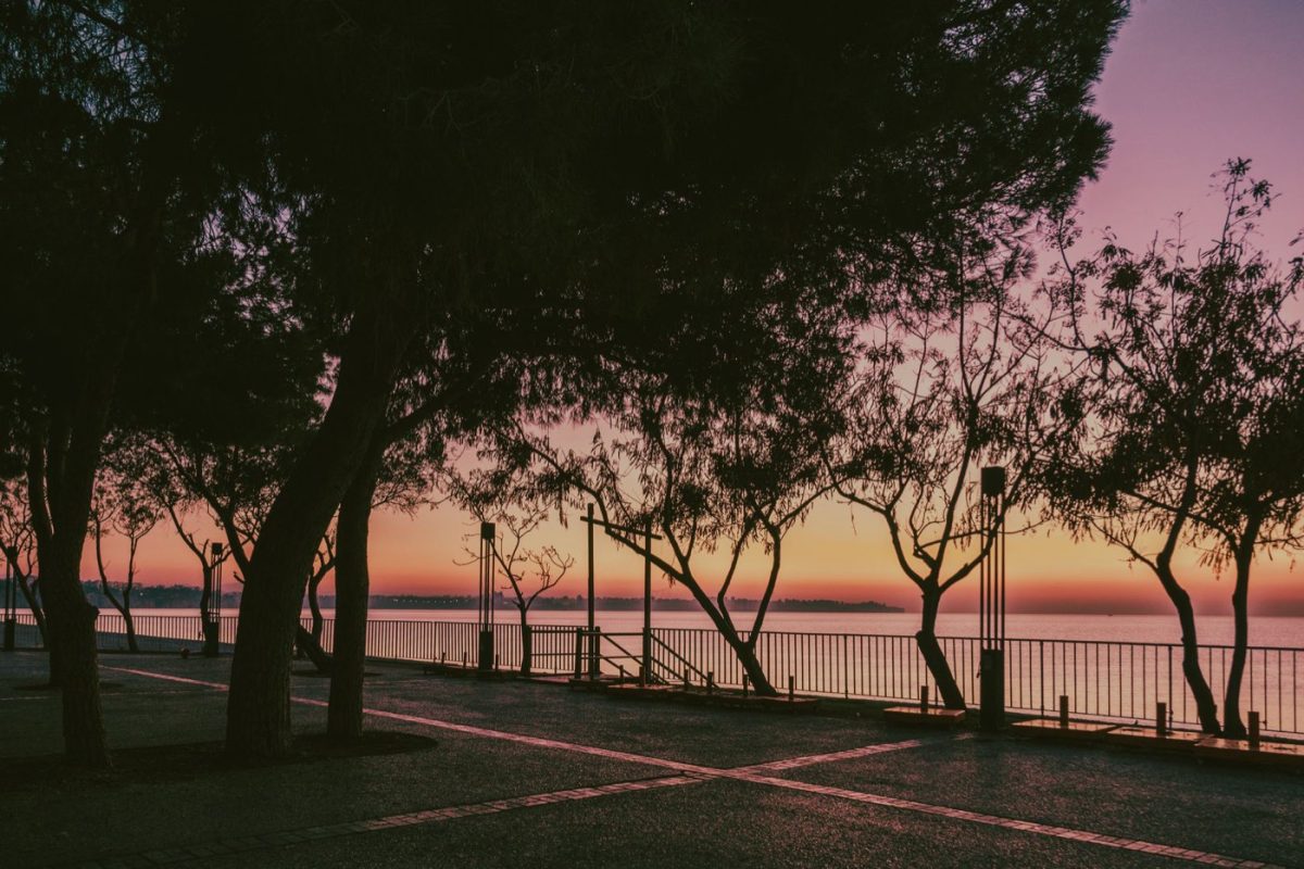 Guide pratique pour ouvrir ou choisir une salle de sport à Nice