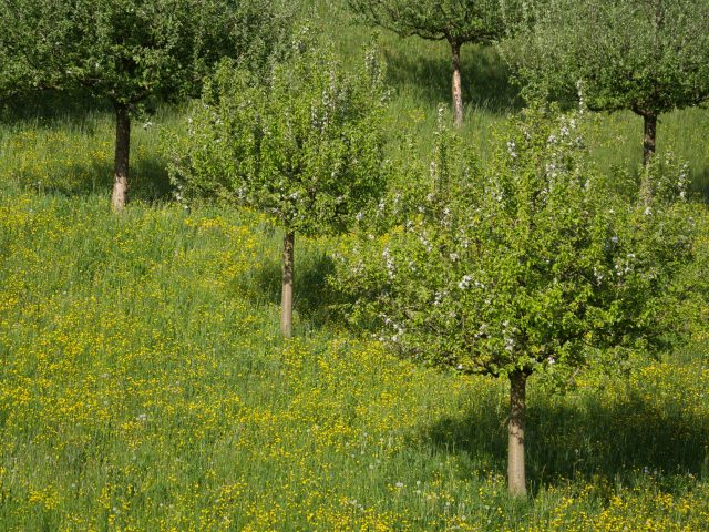 Protégez-vous des allergies saisonnières : conseils pratiques