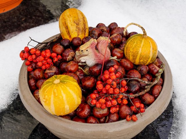 Quels aliments choisir pour une alimentation équilibrée en hiver ?