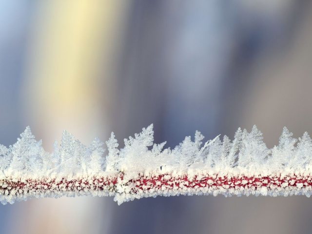 Comment éviter les allergies en hiver ?