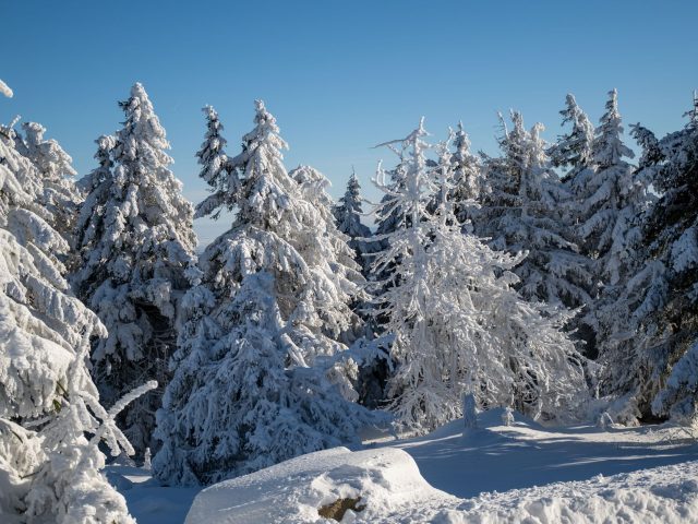 Comment maintenir une bonne santé mentale pendant la saison froide ?